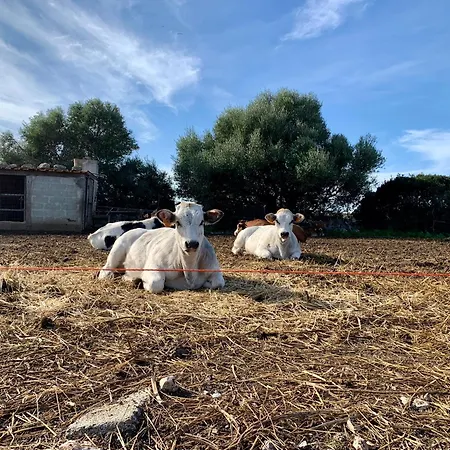 Frühstückspension Cozzo Spadaro Onlyrooms 3*