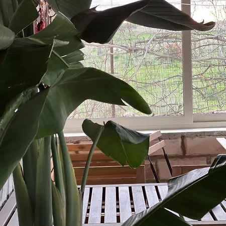 Frühstückspension Cozzo Spadaro Onlyrooms