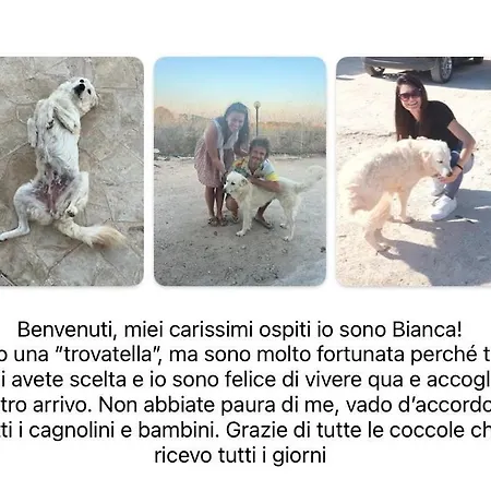 Cozzo Spadaro 3*