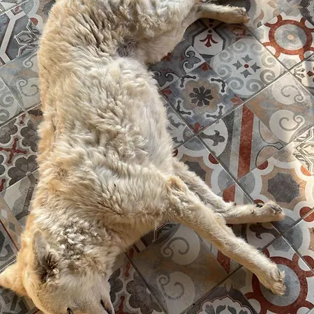Panzió Cozzo Spadaro 3*