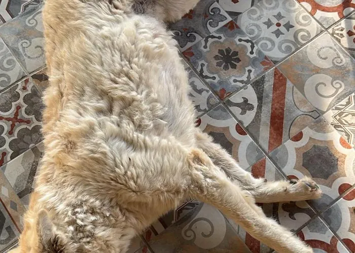 B&B Cozzo Spadaro Onlyrooms 3*